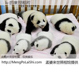 #孟婆来世照相馆# 【lu 来世的未来相片】一碗梦婆汤，忘却了今生爱与痛，了无牵挂进入轮回。再相遇，已是天涯陌路人。可否借我一双慧眼，看清今生与来世？孟婆来世照相馆，触摸你的未来。lu 来世的未来相片，有图有真相：