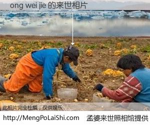 #孟婆来世照相馆# 【ong wei jie 来世的未来相片】一碗梦婆汤，忘却了今生爱与痛，了无牵挂进入轮回。再相遇，已是天涯陌路人。可否借我一双慧眼，看清今生与来世？孟婆来世照相馆，触摸你的未来。ong wei jie 来世的未来相片，有图有真相：