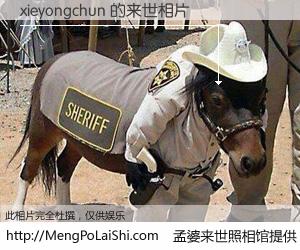 #孟婆来世照相馆# 【xieyongchun 来世的未来相片】一碗梦婆汤，忘却了今生爱与痛，了无牵挂进入轮回。再相遇，已是天涯陌路人。可否借我一双慧眼，看清今生与来世？孟婆来世照相馆，触摸你的未来。xieyongchun 来世的未来相片，有图有真相：