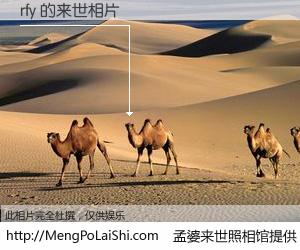 #孟婆来世照相馆# 【rfy 来世的未来相片】一碗梦婆汤，忘却了今生爱与痛，了无牵挂进入轮回。再相遇，已是天涯陌路人。可否借我一双慧眼，看清今生与来世？孟婆来世照相馆，触摸你的未来。rfy 来世的未来相片，有图有真相：
