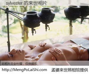 #孟婆来世照相馆# 【sylvester 来世的未来相片】一碗梦婆汤，忘却了今生爱与痛，了无牵挂进入轮回。再相遇，已是天涯陌路人。可否借我一双慧眼，看清今生与来世？孟婆来世照相馆，触摸你的未来。sylvester 来世的未来相片，有图有真相：