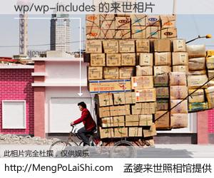 #孟婆来世照相馆# 【wp/wp-includes 来世的未来相片】一碗梦婆汤，忘却了今生爱与痛，了无牵挂进入轮回。再相遇，已是天涯陌路人。可否借我一双慧眼，看清今生与来世？孟婆来世照相馆，触摸你的未来。wp/wp-includes 来世的未来相片，有图有真相：