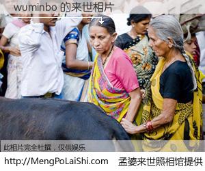 #孟婆来世照相馆# 【wuminbo 来世的未来相片】一碗梦婆汤，忘却了今生爱与痛，了无牵挂进入轮回。再相遇，已是天涯陌路人。可否借我一双慧眼，看清今生与来世？孟婆来世照相馆，触摸你的未来。wuminbo 来世的未来相片，有图有真相：