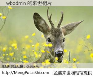 #孟婆来世照相馆# 【wbadmin 来世的未来相片】一碗梦婆汤，忘却了今生爱与痛，了无牵挂进入轮回。再相遇，已是天涯陌路人。可否借我一双慧眼，看清今生与来世？孟婆来世照相馆，触摸你的未来。wbadmin 来世的未来相片，有图有真相：