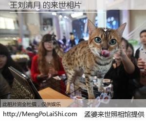 #孟婆来世照相馆# 【王刘清月 来世的未来相片】一碗梦婆汤，忘却了今生爱与痛，了无牵挂进入轮回。再相遇，已是天涯陌路人。可否借我一双慧眼，看清今生与来世？孟婆来世照相馆，触摸你的未来。王刘清月 来世的未来相片，有图有真相：