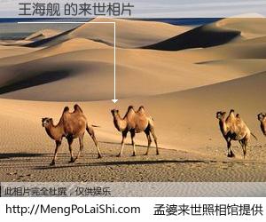 #孟婆来世照相馆# 【王海舰 来世的未来相片】一碗梦婆汤，忘却了今生爱与痛，了无牵挂进入轮回。再相遇，已是天涯陌路人。可否借我一双慧眼，看清今生与来世？孟婆来世照相馆，触摸你的未来。王海舰 来世的未来相片，有图有真相：
