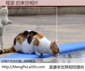 #孟婆来世照相馆# 【程彦 来世的未来相片】一碗梦婆汤，忘却了今生爱与痛，了无牵挂进入轮回。再相遇，已是天涯陌路人。可否借我一双慧眼，看清今生与来世？孟婆来世照相馆，触摸你的未来。程彦 来世的未来相片，有图有真相：