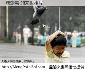 #孟婆来世照相馆# 【老螃蟹 来世的未来相片】一碗梦婆汤，忘却了今生爱与痛，了无牵挂进入轮回。再相遇，已是天涯陌路人。可否借我一双慧眼，看清今生与来世？孟婆来世照相馆，触摸你的未来。老螃蟹 来世的未来相片，有图有真相：