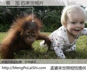 #孟婆来世照相馆# 【蔡禮旭 来世的未来相片】一碗梦婆汤，忘却了今生爱与痛，了无牵挂进入轮回。再相遇，已是天涯陌路人。可否借我一双慧眼，看清今生与来世？孟婆来世照相馆，触摸你的未来。蔡禮旭 来世的未来相片，有图有真相：