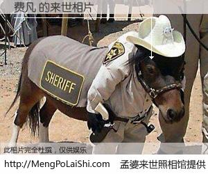 #孟婆来世照相馆# 【费凡 来世的未来相片】一碗梦婆汤，忘却了今生爱与痛，了无牵挂进入轮回。再相遇，已是天涯陌路人。可否借我一双慧眼，看清今生与来世？孟婆来世照相馆，触摸你的未来。费凡 来世的未来相片，有图有真相：