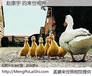 #孟婆来世照相馆# 【赵康宇 来世的未来相片】一碗梦婆汤，忘却了今生爱与痛，了无牵挂进入轮回。再相遇，已是天涯陌路人。可否借我一双慧眼，看清今生与来世？孟婆来世照相馆，触摸你的未来。赵康宇 来世的未来相片，有图有真相：