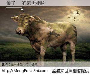 #孟婆来世照相馆# 【金子偉 来世的未来相片】一碗梦婆汤，忘却了今生爱与痛，了无牵挂进入轮回。再相遇，已是天涯陌路人。可否借我一双慧眼，看清今生与来世？孟婆来世照相馆，触摸你的未来。金子偉 来世的未来相片，有图有真相：
