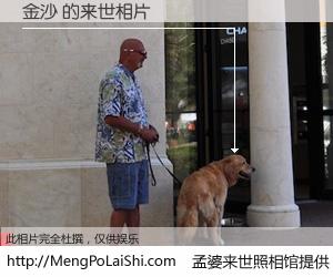 #孟婆来世照相馆# 【金沙 来世的未来相片】一碗梦婆汤，忘却了今生爱与痛，了无牵挂进入轮回。再相遇，已是天涯陌路人。可否借我一双慧眼，看清今生与来世？孟婆来世照相馆，触摸你的未来。金沙 来世的未来相片，有图有真相：