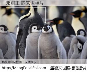 #孟婆来世照相馆# 【邓财正 来世的未来相片】一碗梦婆汤，忘却了今生爱与痛，了无牵挂进入轮回。再相遇，已是天涯陌路人。可否借我一双慧眼，看清今生与来世？孟婆来世照相馆，触摸你的未来。邓财正 来世的未来相片，有图有真相：