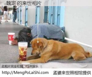 #孟婆来世照相馆# 【魏定 来世的未来相片】一碗梦婆汤，忘却了今生爱与痛，了无牵挂进入轮回。再相遇，已是天涯陌路人。可否借我一双慧眼，看清今生与来世？孟婆来世照相馆，触摸你的未来。魏定 来世的未来相片，有图有真相：