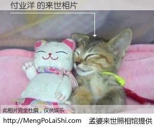 #孟婆来世照相馆# 【付业洋 来世的未来相片】一碗梦婆汤，忘却了今生爱与痛，了无牵挂进入轮回。再相遇，已是天涯陌路人。可否借我一双慧眼，看清今生与来世？孟婆来世照相馆，触摸你的未来。付业洋 来世的未来相片，有图有真相：