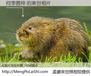 #孟婆来世照相馆# 【何李茜梓 来世的未来相片】一碗梦婆汤，忘却了今生爱与痛，了无牵挂进入轮回。再相遇，已是天涯陌路人。可否借我一双慧眼，看清今生与来世？孟婆来世照相馆，触摸你的未来。何李茜梓 来世的未来相片，有图有真相：