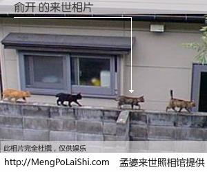 #孟婆来世照相馆# 【俞开 来世的未来相片】一碗梦婆汤，忘却了今生爱与痛，了无牵挂进入轮回。再相遇，已是天涯陌路人。可否借我一双慧眼，看清今生与来世？孟婆来世照相馆，触摸你的未来。俞开 来世的未来相片，有图有真相：