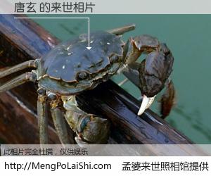 #孟婆来世照相馆# 【唐玄 来世的未来相片】一碗梦婆汤，忘却了今生爱与痛，了无牵挂进入轮回。再相遇，已是天涯陌路人。可否借我一双慧眼，看清今生与来世？孟婆来世照相馆，触摸你的未来。唐玄 来世的未来相片，有图有真相：