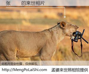 #孟婆来世照相馆# 【张劼翀 来世的未来相片】一碗梦婆汤，忘却了今生爱与痛，了无牵挂进入轮回。再相遇，已是天涯陌路人。可否借我一双慧眼，看清今生与来世？孟婆来世照相馆，触摸你的未来。张劼翀 来世的未来相片，有图有真相：