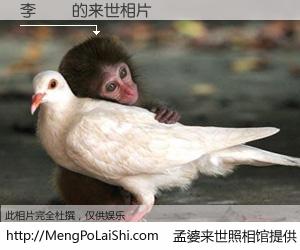 #孟婆来世照相馆# 【李藹儀 来世的未来相片】一碗梦婆汤，忘却了今生爱与痛，了无牵挂进入轮回。再相遇，已是天涯陌路人。可否借我一双慧眼，看清今生与来世？孟婆来世照相馆，触摸你的未来。李藹儀 来世的未来相片，有图有真相：