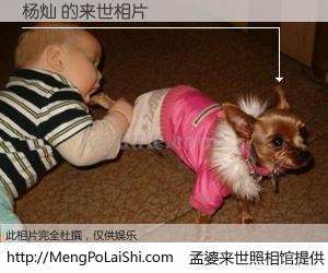 #孟婆来世照相馆# 【杨灿 来世的未来相片】一碗梦婆汤，忘却了今生爱与痛，了无牵挂进入轮回。再相遇，已是天涯陌路人。可否借我一双慧眼，看清今生与来世？孟婆来世照相馆，触摸你的未来。杨灿 来世的未来相片，有图有真相：