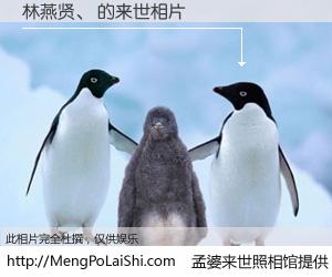 #孟婆来世照相馆# 【林燕贤、 来世的未来相片】一碗梦婆汤，忘却了今生爱与痛，了无牵挂进入轮回。再相遇，已是天涯陌路人。可否借我一双慧眼，看清今生与来世？孟婆来世照相馆，触摸你的未来。林燕贤、 来世的未来相片，有图有真相：