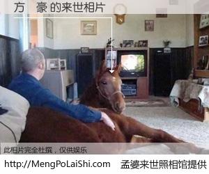 #孟婆来世照相馆# 【方鵬豪 来世的未来相片】一碗梦婆汤，忘却了今生爱与痛，了无牵挂进入轮回。再相遇，已是天涯陌路人。可否借我一双慧眼，看清今生与来世？孟婆来世照相馆，触摸你的未来。方鵬豪 来世的未来相片，有图有真相：