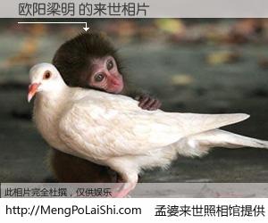 #孟婆来世照相馆# 【欧阳梁明 来世的未来相片】一碗梦婆汤，忘却了今生爱与痛，了无牵挂进入轮回。再相遇，已是天涯陌路人。可否借我一双慧眼，看清今生与来世？孟婆来世照相馆，触摸你的未来。欧阳梁明 来世的未来相片，有图有真相：