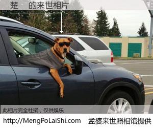 #孟婆来世照相馆# 【楚蓂 来世的未来相片】一碗梦婆汤，忘却了今生爱与痛，了无牵挂进入轮回。再相遇，已是天涯陌路人。可否借我一双慧眼，看清今生与来世？孟婆来世照相馆，触摸你的未来。楚蓂 来世的未来相片，有图有真相：