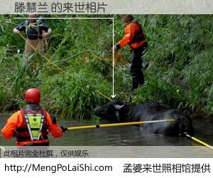 #孟婆来世照相馆# 【滕慧兰 来世的未来相片】一碗梦婆汤，忘却了今生爱与痛，了无牵挂进入轮回。再相遇，已是天涯陌路人。可否借我一双慧眼，看清今生与来世？孟婆来世照相馆，触摸你的未来。滕慧兰 来世的未来相片，有图有真相：