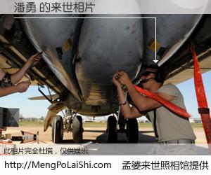 #孟婆来世照相馆# 【潘勇 来世的未来相片】一碗梦婆汤，忘却了今生爱与痛，了无牵挂进入轮回。再相遇，已是天涯陌路人。可否借我一双慧眼，看清今生与来世？孟婆来世照相馆，触摸你的未来。潘勇 来世的未来相片，有图有真相：