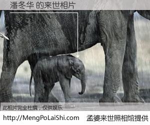 #孟婆来世照相馆# 【潘冬华 来世的未来相片】一碗梦婆汤，忘却了今生爱与痛，了无牵挂进入轮回。再相遇，已是天涯陌路人。可否借我一双慧眼，看清今生与来世？孟婆来世照相馆，触摸你的未来。潘冬华 来世的未来相片，有图有真相：