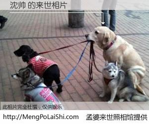 #孟婆来世照相馆# 【沈帅 来世的未来相片】一碗梦婆汤，忘却了今生爱与痛，了无牵挂进入轮回。再相遇，已是天涯陌路人。可否借我一双慧眼，看清今生与来世？孟婆来世照相馆，触摸你的未来。沈帅 来世的未来相片，有图有真相：