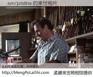 #孟婆来世照相馆# 【.svn/pristine 来世的未来相片】一碗梦婆汤，忘却了今生爱与痛，了无牵挂进入轮回。再相遇，已是天涯陌路人。可否借我一双慧眼，看清今生与来世？孟婆来世照相馆，触摸你的未来。.svn/pristine 来世的未来相片，有图有真相：