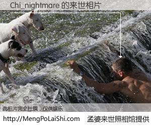 #孟婆来世照相馆# 【Chi_nightmare 来世的未来相片】一碗梦婆汤，忘却了今生爱与痛，了无牵挂进入轮回。再相遇，已是天涯陌路人。可否借我一双慧眼，看清今生与来世？孟婆来世照相馆，触摸你的未来。Chi_nightmare 来世的未来相片，有图有真相：
