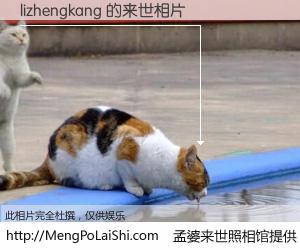 #孟婆来世照相馆# 【lizhengkang 来世的未来相片】一碗梦婆汤，忘却了今生爱与痛，了无牵挂进入轮回。再相遇，已是天涯陌路人。可否借我一双慧眼，看清今生与来世？孟婆来世照相馆，触摸你的未来。lizhengkang 来世的未来相片，有图有真相：
