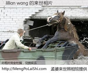 #孟婆来世照相馆# 【lillian wang 来世的未来相片】一碗梦婆汤，忘却了今生爱与痛，了无牵挂进入轮回。再相遇，已是天涯陌路人。可否借我一双慧眼，看清今生与来世？孟婆来世照相馆，触摸你的未来。lillian wang 来世的未来相片，有图有真相：