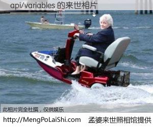 #孟婆来世照相馆# 【api/variables 来世的未来相片】一碗梦婆汤，忘却了今生爱与痛，了无牵挂进入轮回。再相遇，已是天涯陌路人。可否借我一双慧眼，看清今生与来世？孟婆来世照相馆，触摸你的未来。api/variables 来世的未来相片，有图有真相：