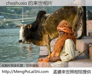 #孟婆来世照相馆# 【cheshuxia 来世的未来相片】一碗梦婆汤，忘却了今生爱与痛，了无牵挂进入轮回。再相遇，已是天涯陌路人。可否借我一双慧眼，看清今生与来世？孟婆来世照相馆，触摸你的未来。cheshuxia 来世的未来相片，有图有真相：