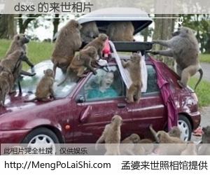 #孟婆来世照相馆# 【dsxs 来世的未来相片】一碗梦婆汤，忘却了今生爱与痛，了无牵挂进入轮回。再相遇，已是天涯陌路人。可否借我一双慧眼，看清今生与来世？孟婆来世照相馆，触摸你的未来。dsxs 来世的未来相片，有图有真相：