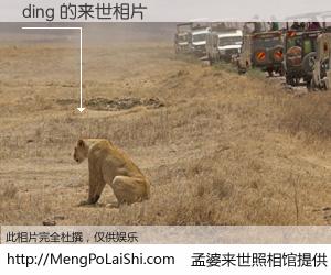 #孟婆来世照相馆# 【ding 来世的未来相片】一碗梦婆汤，忘却了今生爱与痛，了无牵挂进入轮回。再相遇，已是天涯陌路人。可否借我一双慧眼，看清今生与来世？孟婆来世照相馆，触摸你的未来。ding 来世的未来相片，有图有真相：