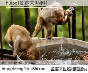 #孟婆来世照相馆# 【hutoo112 来世的未来相片】一碗梦婆汤，忘却了今生爱与痛，了无牵挂进入轮回。再相遇，已是天涯陌路人。可否借我一双慧眼，看清今生与来世？孟婆来世照相馆，触摸你的未来。hutoo112 来世的未来相片，有图有真相：