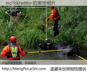 #孟婆来世照相馆# 【inc/fck/editor 来世的未来相片】一碗梦婆汤，忘却了今生爱与痛，了无牵挂进入轮回。再相遇，已是天涯陌路人。可否借我一双慧眼，看清今生与来世？孟婆来世照相馆，触摸你的未来。inc/fck/editor 来世的未来相片，有图有真相：