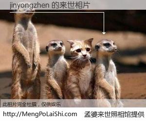 #孟婆来世照相馆# 【jinyongzhen 来世的未来相片】一碗梦婆汤，忘却了今生爱与痛，了无牵挂进入轮回。再相遇，已是天涯陌路人。可否借我一双慧眼，看清今生与来世？孟婆来世照相馆，触摸你的未来。jinyongzhen 来世的未来相片，有图有真相：