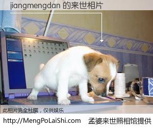 #孟婆来世照相馆# 【jiangmengdan 来世的未来相片】一碗梦婆汤，忘却了今生爱与痛，了无牵挂进入轮回。再相遇，已是天涯陌路人。可否借我一双慧眼，看清今生与来世？孟婆来世照相馆，触摸你的未来。jiangmengdan 来世的未来相片，有图有真相：