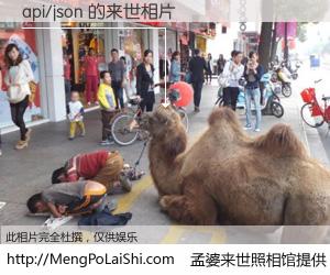 #孟婆来世照相馆# 【api/json 来世的未来相片】一碗梦婆汤，忘却了今生爱与痛，了无牵挂进入轮回。再相遇，已是天涯陌路人。可否借我一双慧眼，看清今生与来世？孟婆来世照相馆，触摸你的未来。api/json 来世的未来相片，有图有真相：