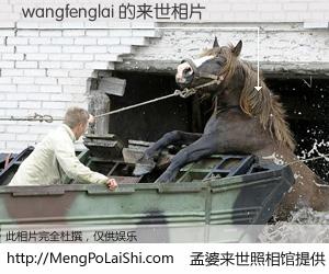 #孟婆来世照相馆# 【wangfenglai 来世的未来相片】一碗梦婆汤，忘却了今生爱与痛，了无牵挂进入轮回。再相遇，已是天涯陌路人。可否借我一双慧眼，看清今生与来世？孟婆来世照相馆，触摸你的未来。wangfenglai 来世的未来相片，有图有真相：