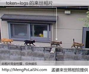 #孟婆来世照相馆# 【token-logs 来世的未来相片】一碗梦婆汤，忘却了今生爱与痛，了无牵挂进入轮回。再相遇，已是天涯陌路人。可否借我一双慧眼，看清今生与来世？孟婆来世照相馆，触摸你的未来。token-logs 来世的未来相片，有图有真相：