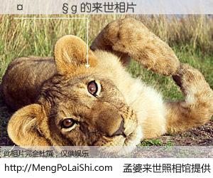 #孟婆来世照相馆# 【�����g 来世的未来相片】一碗梦婆汤，忘却了今生爱与痛，了无牵挂进入轮回。再相遇，已是天涯陌路人。可否借我一双慧眼，看清今生与来世？孟婆来世照相馆，触摸你的未来。�����g 来世的未来相片，有图有真相：